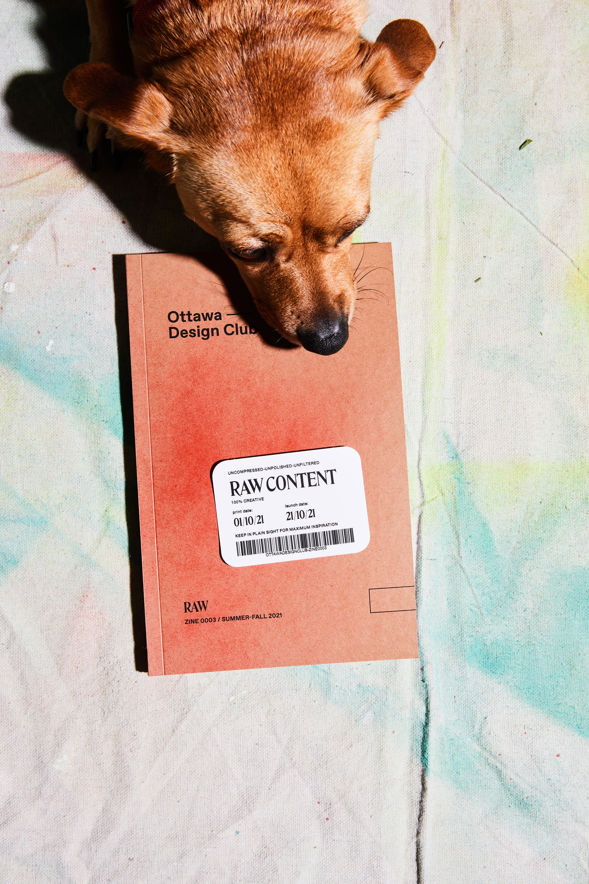 Raw Zine